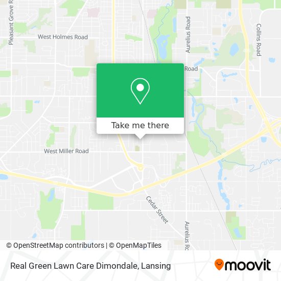 Real Green Lawn Care Dimondale map