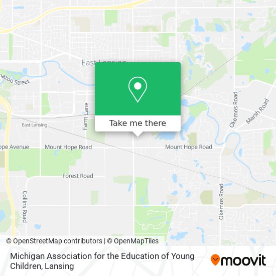 Mapa de Michigan Association for the Education of Young Children