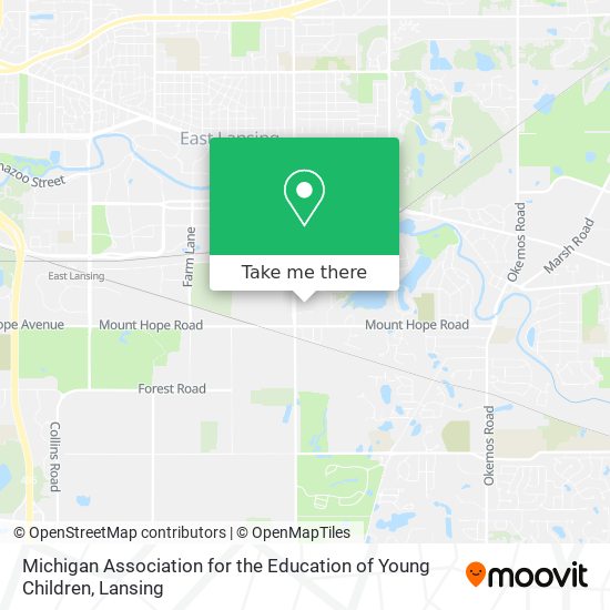 Michigan Association for the Education of Young Children map