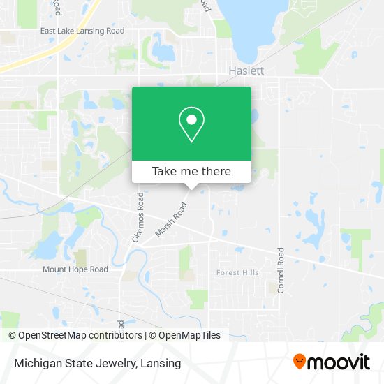 Michigan State Jewelry map