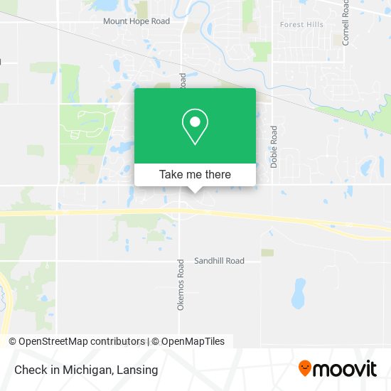 Check in Michigan map