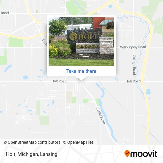 Holt, Michigan map