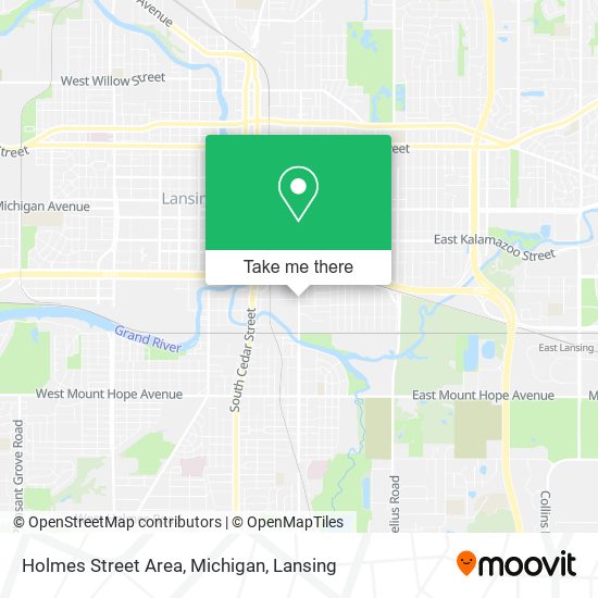 Holmes Street Area, Michigan map