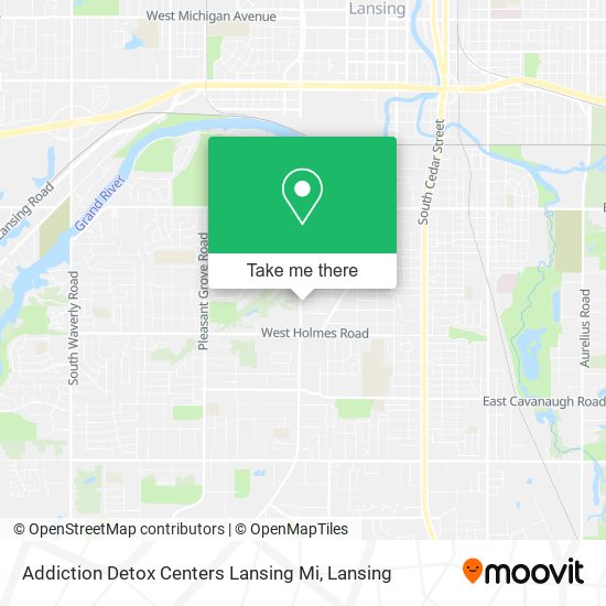 Addiction Detox Centers Lansing Mi map