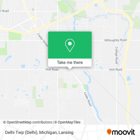 Delhi Twp (Delhi), Michigan map