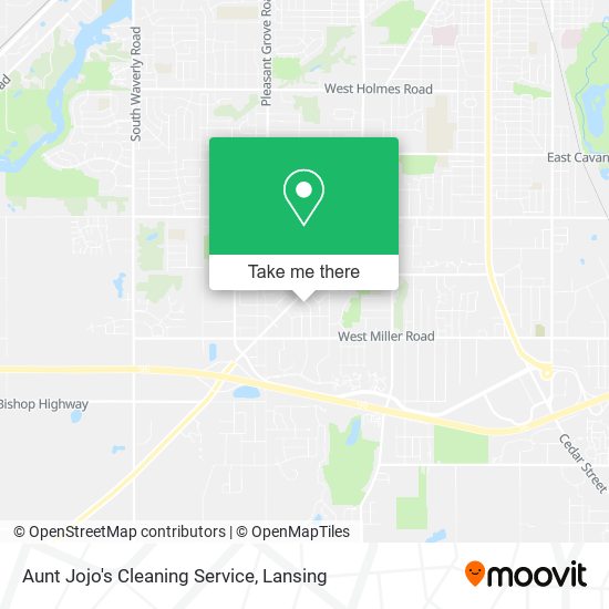 Aunt Jojo's Cleaning Service map