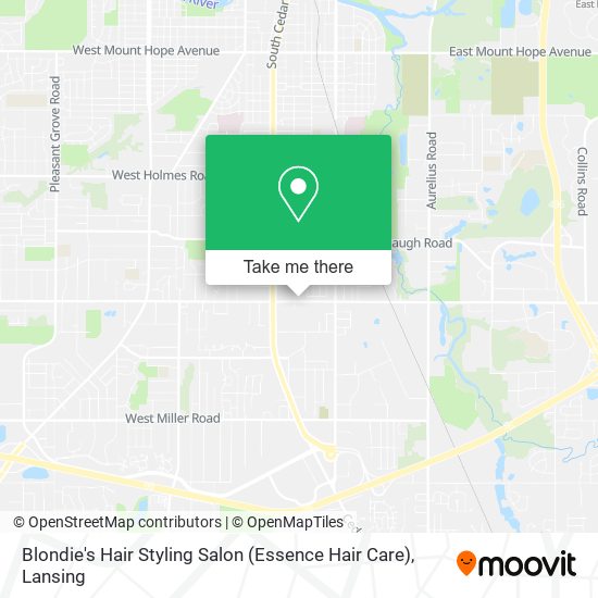 Blondie's Hair Styling Salon (Essence Hair Care) map