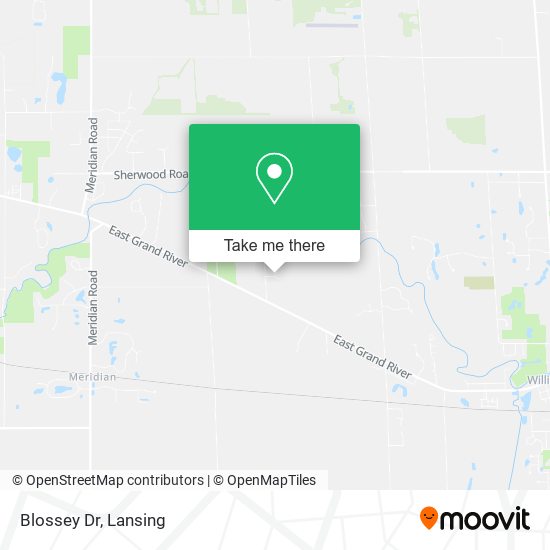 Blossey Dr map
