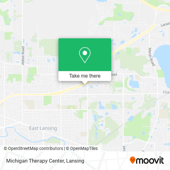 Mapa de Michigan Therapy Center