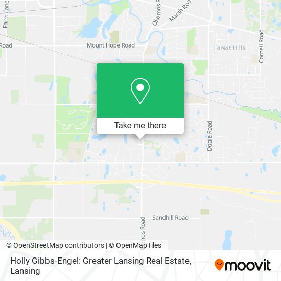 Mapa de Holly Gibbs-Engel: Greater Lansing Real Estate