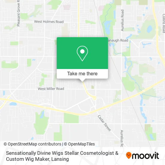 Sensationally Divine Wigs Stellar Cosmetologist & Custom Wig Maker map