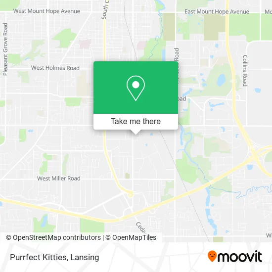 Purrfect Kitties map