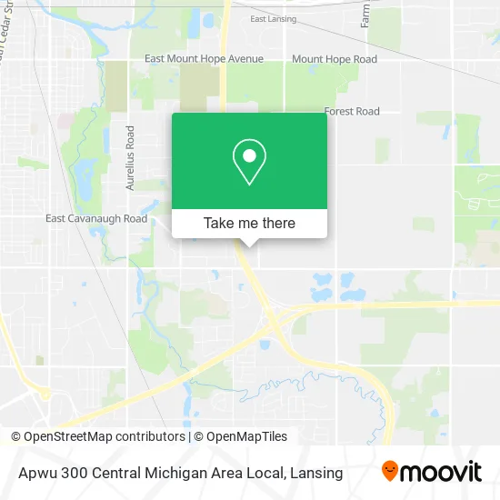 Apwu 300 Central Michigan Area Local map