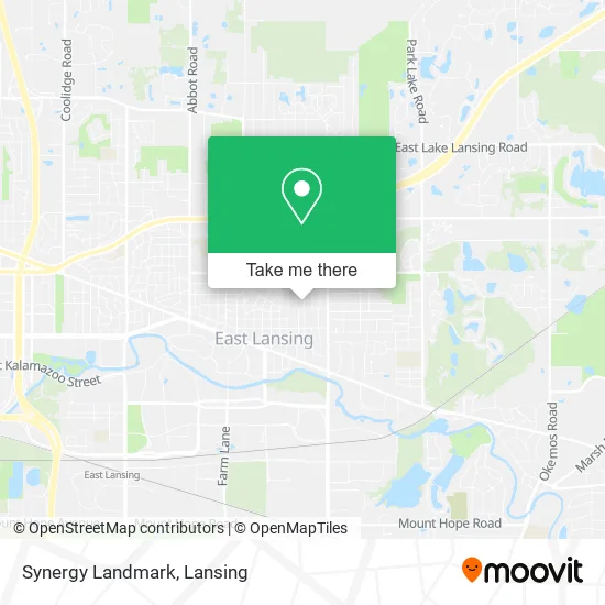 Synergy Landmark map