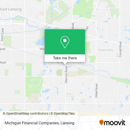 Michigan Financial Companies map
