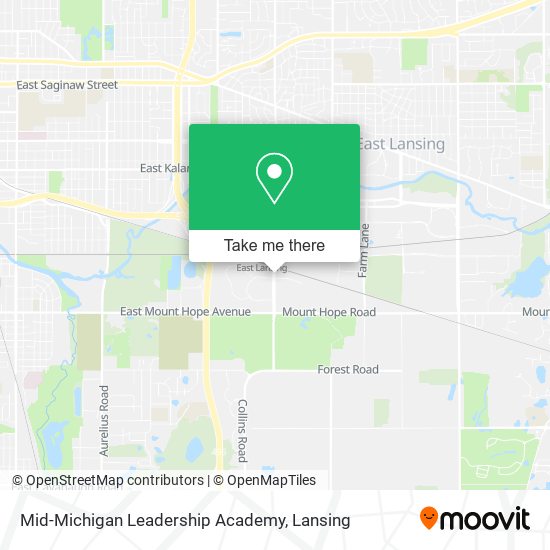 Mapa de Mid-Michigan Leadership Academy