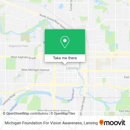 Michigan Foundation For Vision Awareness map
