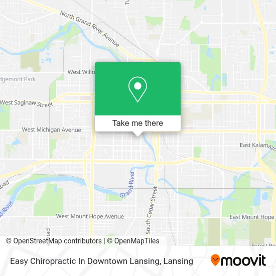 Easy Chiropractic In Downtown Lansing map