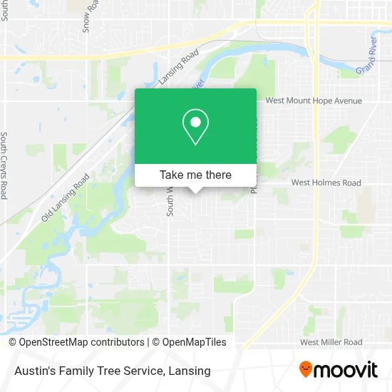 Austin's Family Tree Service map