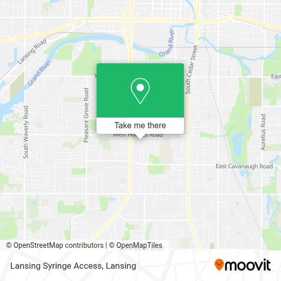 Lansing Syringe Access map
