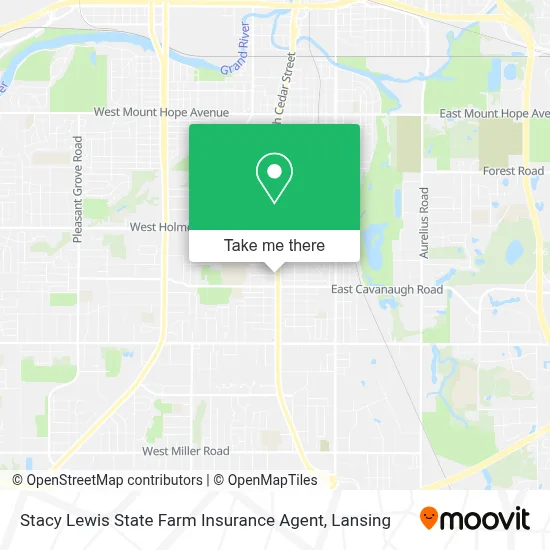 Stacy Lewis State Farm Insurance Agent map