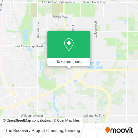 The Recovery Project - Lansing map