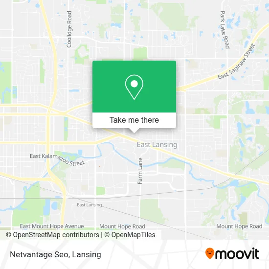 Netvantage Seo map