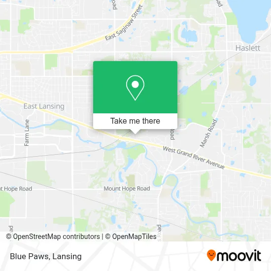 Blue Paws map