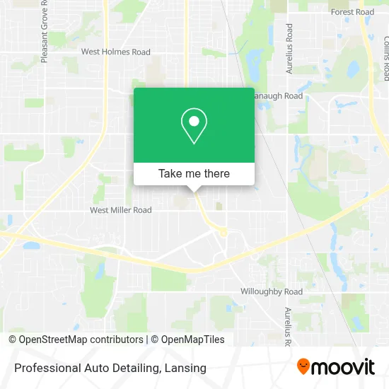 Professional Auto Detailing map