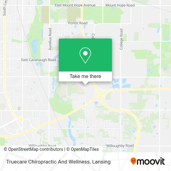 Truecare Chiropractic And Wellness map