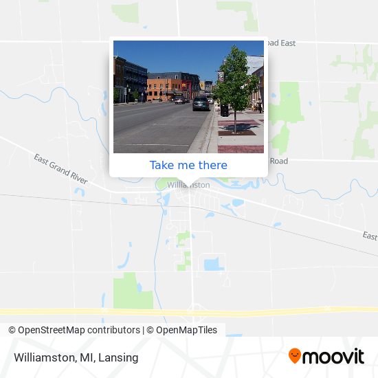 Williamston, MI map