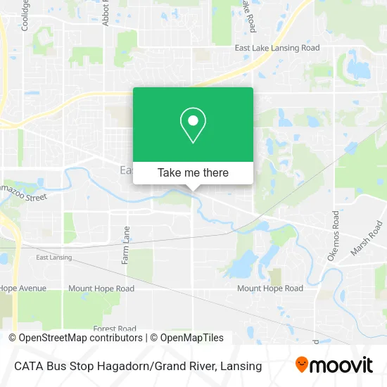 Mapa de CATA Bus Stop Hagadorn / Grand River