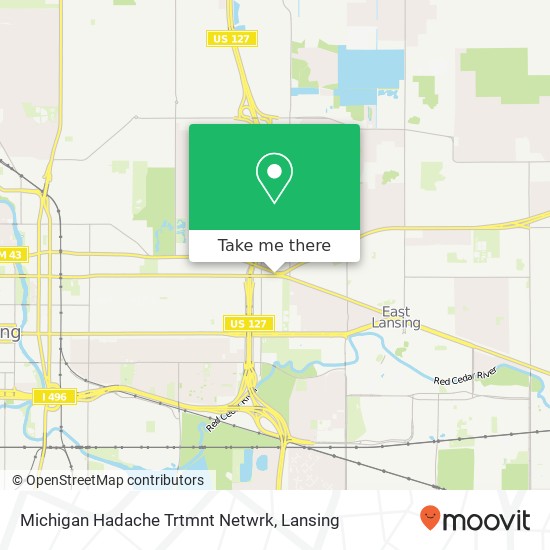 Michigan Hadache Trtmnt Netwrk map