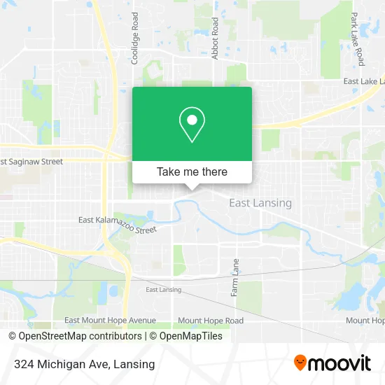 324 Michigan Ave map