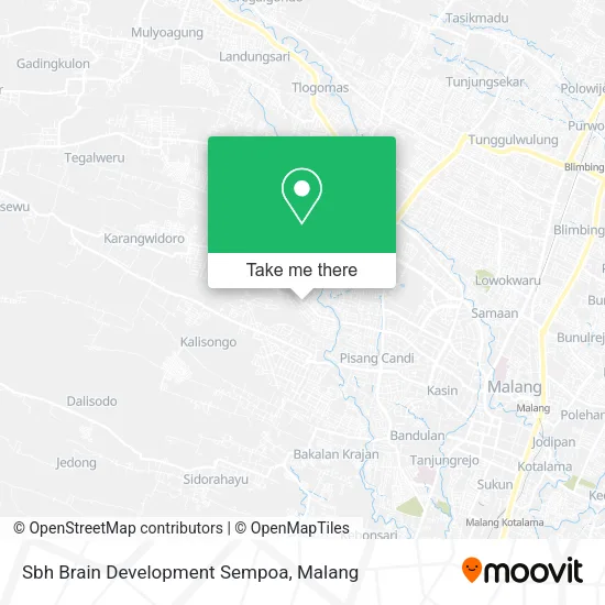 Sbh Brain Development Sempoa map