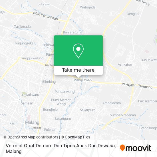 Vermint Obat Demam Dan Tipes Anak Dan Dewasa map