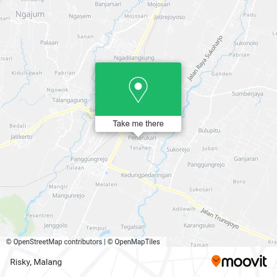Risky map