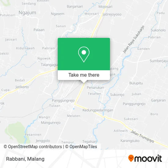 Rabbani map