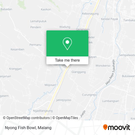 Nyong Fish Bowl map