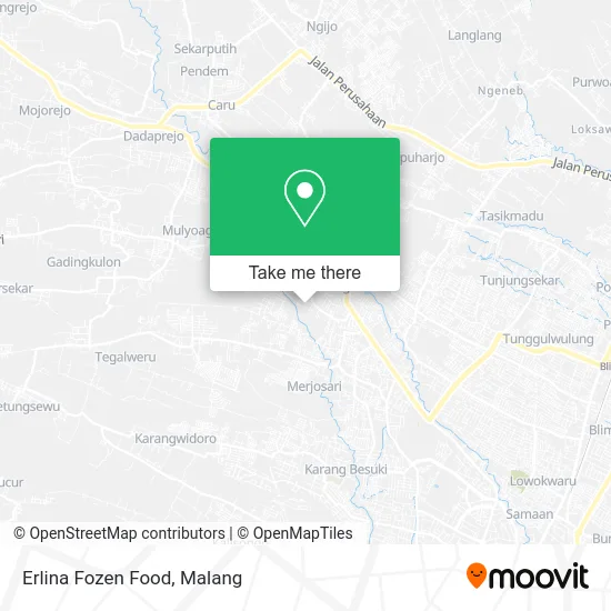 Erlina Fozen Food map