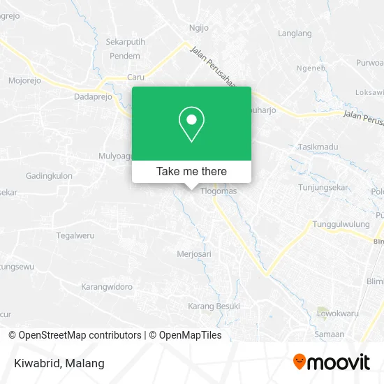 Kiwabrid map