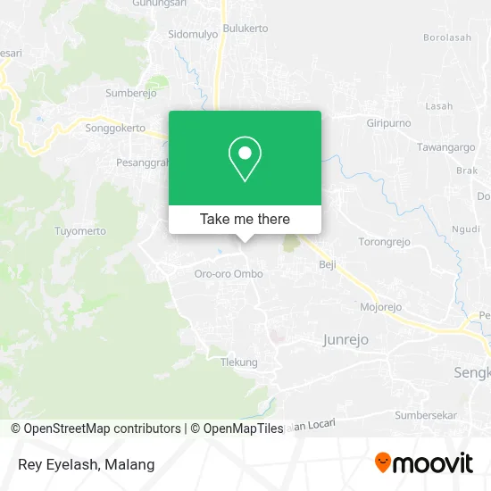 Rey Eyelash map