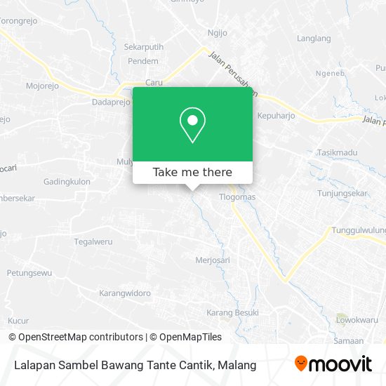 Lalapan Sambel Bawang Tante Cantik map
