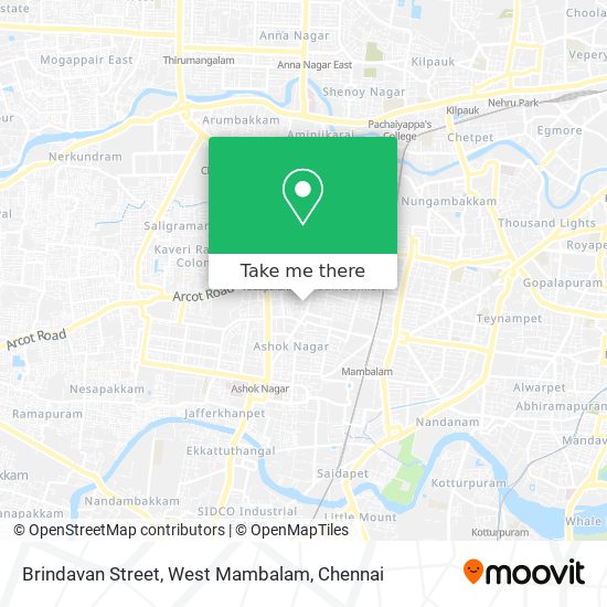 Brindavan Street, West Mambalam map