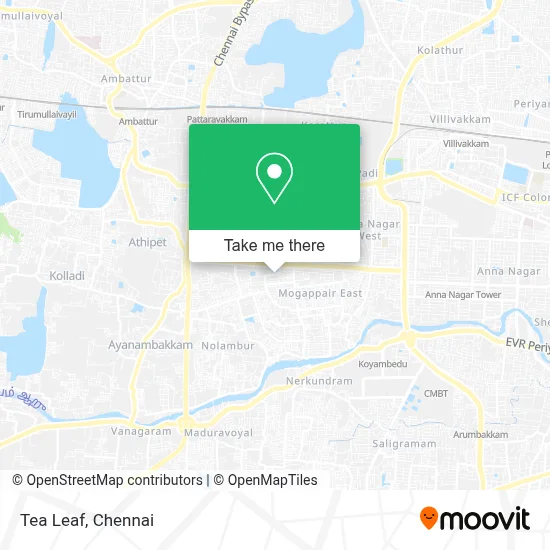 Tea Leaf map