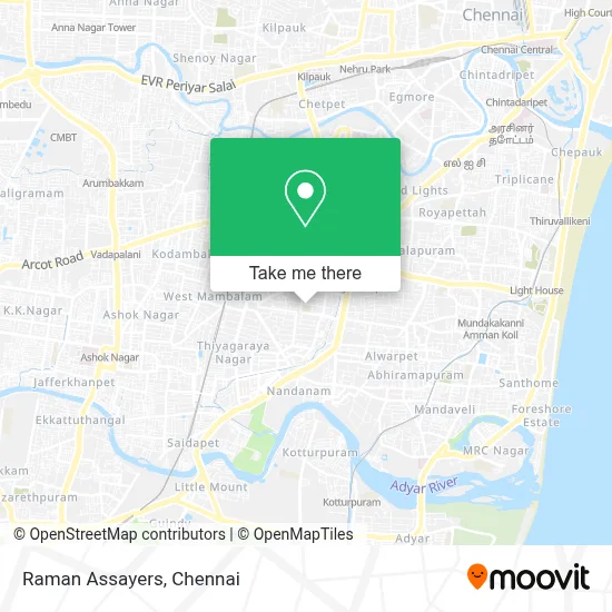 Raman Assayers map