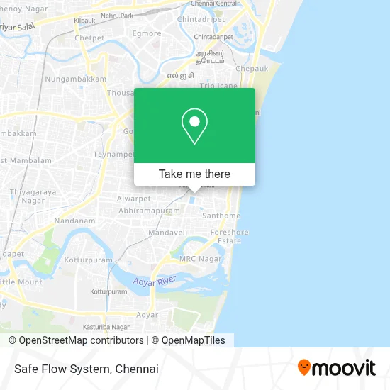 Safe Flow System map