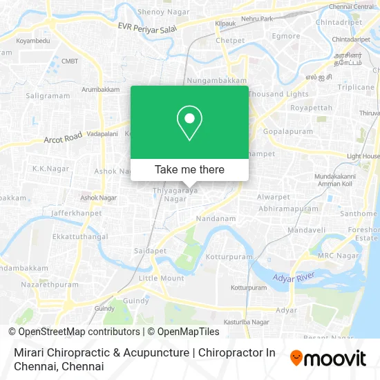 Mirari Chiropractic & Acupuncture | Chiropractor In Chennai map