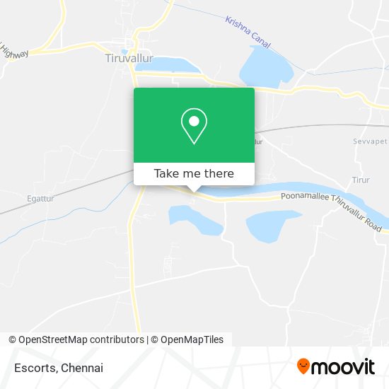 Escorts map