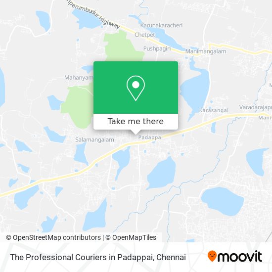 The Professional Couriers in Padappai map